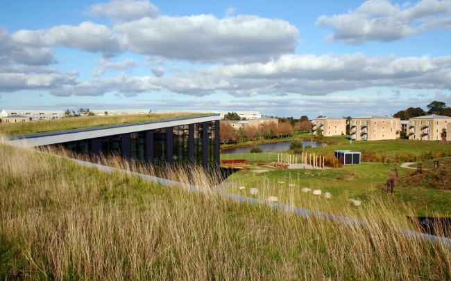 Building with a gras roof